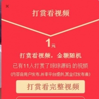9月最新修复版微信视频打赏赚钱源码+平台+免公众号 个人免签支付接口（完整源码）