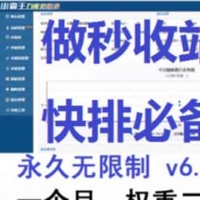 小霸王站群池蜘蛛池引流百度霸屏秒收二开版