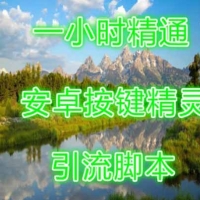 按键精灵引流脚本自5套媒体视频教程