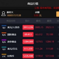 Thinkphp5微盘美金演示防入侵运营版 微盘美金版带代理个人都可以运营的微交易开源源码带个人免签码支付