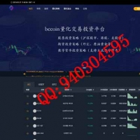 java国际量化交易投资平台币币交易源码 交易所OTA交易平台源码最新提供数字货币杠杆交易