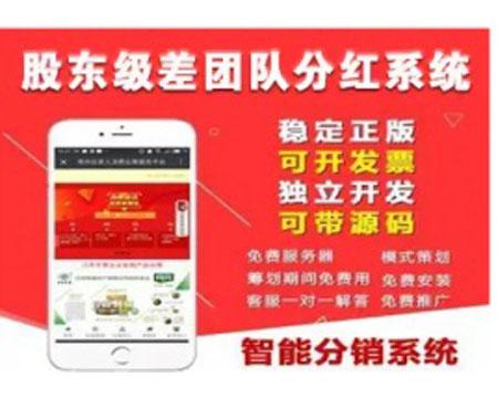 团队无限极分红级差奖励分红商城源码 股东级差团队分红系统