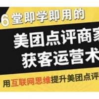 美团新手商家获客源运营术 实践可行的方法技巧助你快速获取客源视频教程
