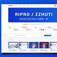 【RIPro6.4子主题UI美化】日主题专业版RIPRO细节美化增加在线自助友链申请与引导会员模块[子主题]