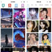 非常不错的壁纸背景墙/头像/动态壁纸小程序源码+用户投稿-带部分采集功能+视频教程